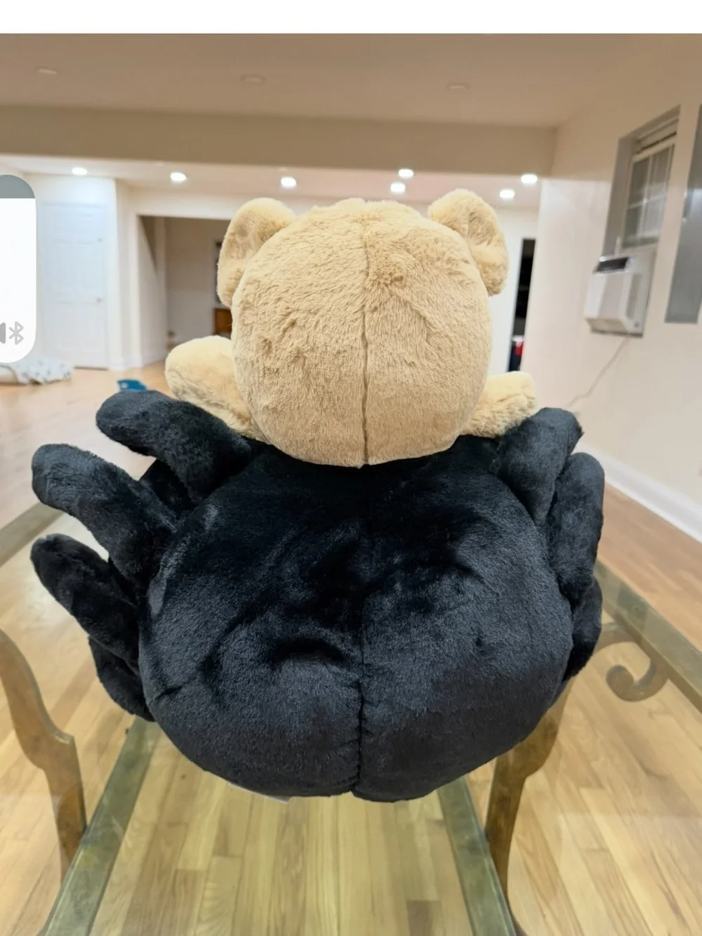 N/A 🦋halloween teddy
